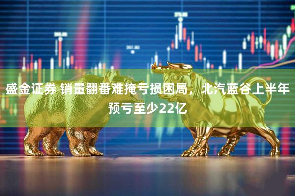 盛金证券 销量翻番难掩亏损困局，北汽蓝谷上半年预亏至少22亿